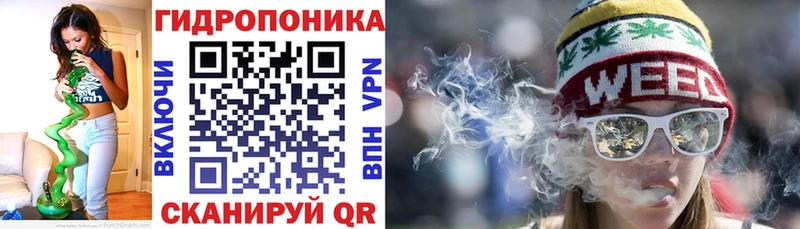 Купить наркотики Лесной hydra рабочий сайт Кокаин Меф мяу мяу ГАШИШ A PVP АМФ