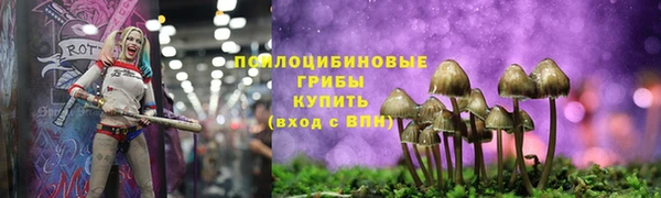 герыч Арсеньев