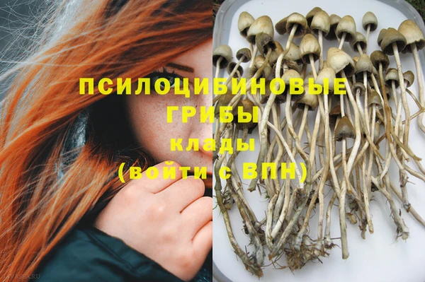 Альфа ПВП Аркадак
