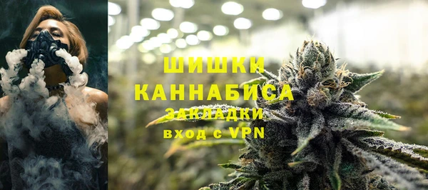 Альфа ПВП Аркадак