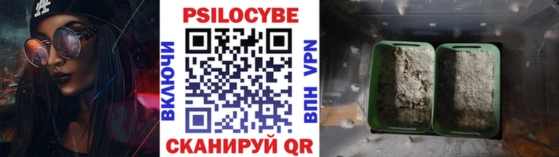 Псилоцибиновые грибы прущие грибы  наркота  Лесной 